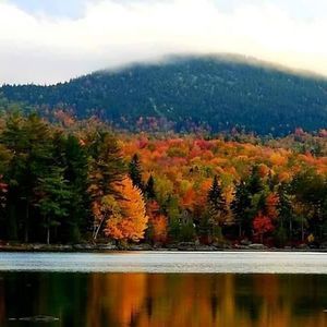 Meet your Posher, Todd